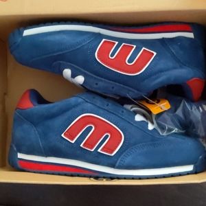 Etnie's lo cut 2 blue and red skater shoes NWT
